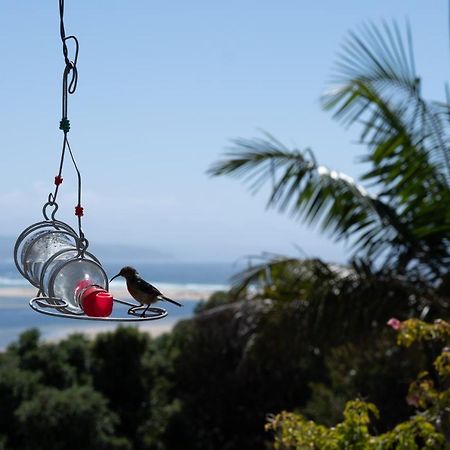 Room With A View Plettenberg Bay Exterior foto